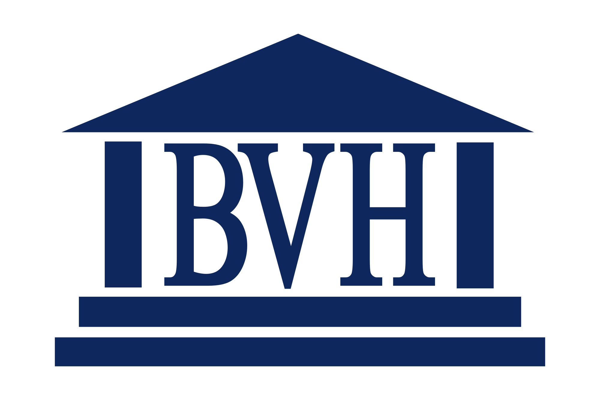 Bvhlogo 3378950596